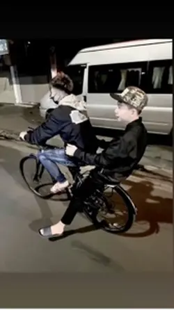 Mẫu cute con chó