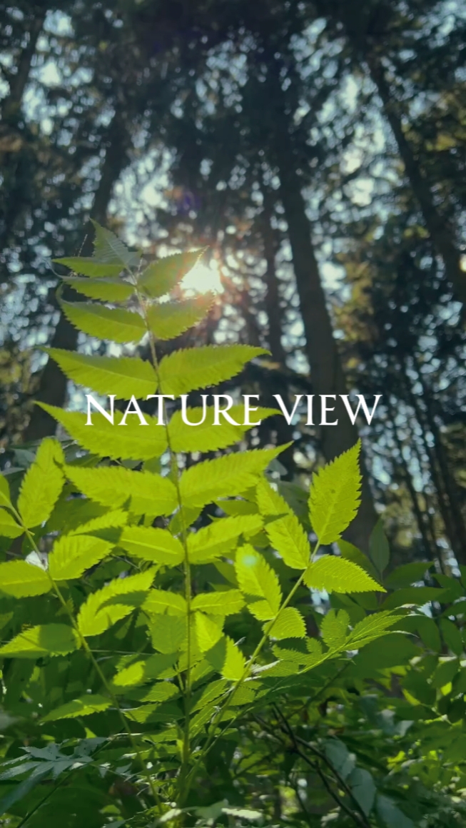 Vista Natureza