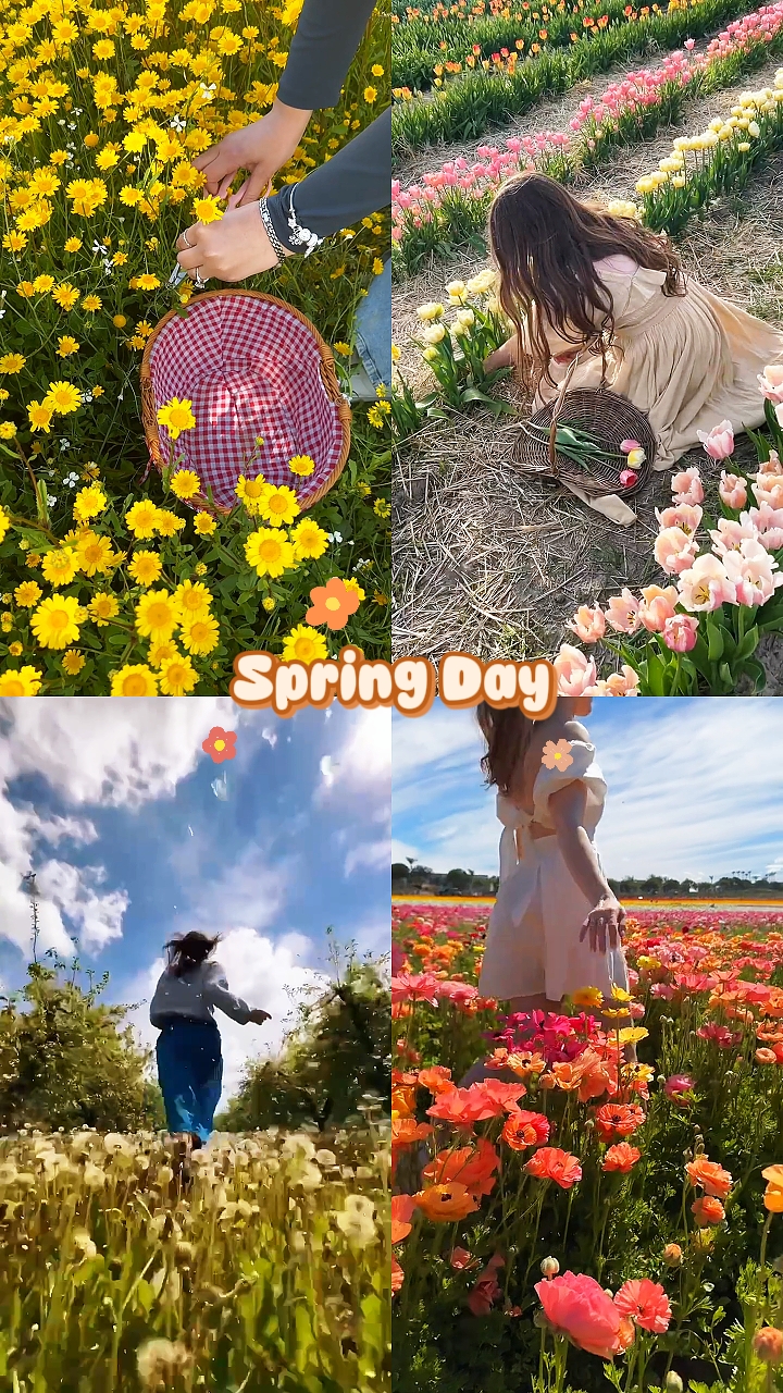 Spring Day
