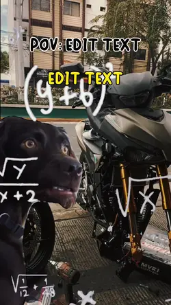 Confused Dog Math