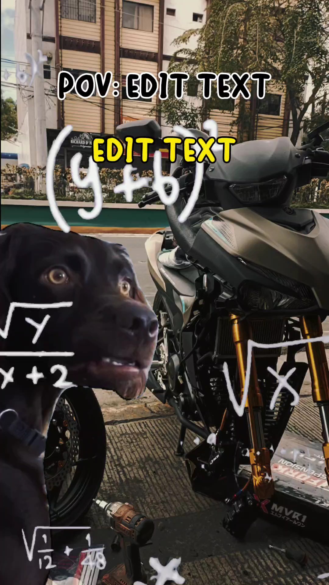  Mathématiques de chien confuses