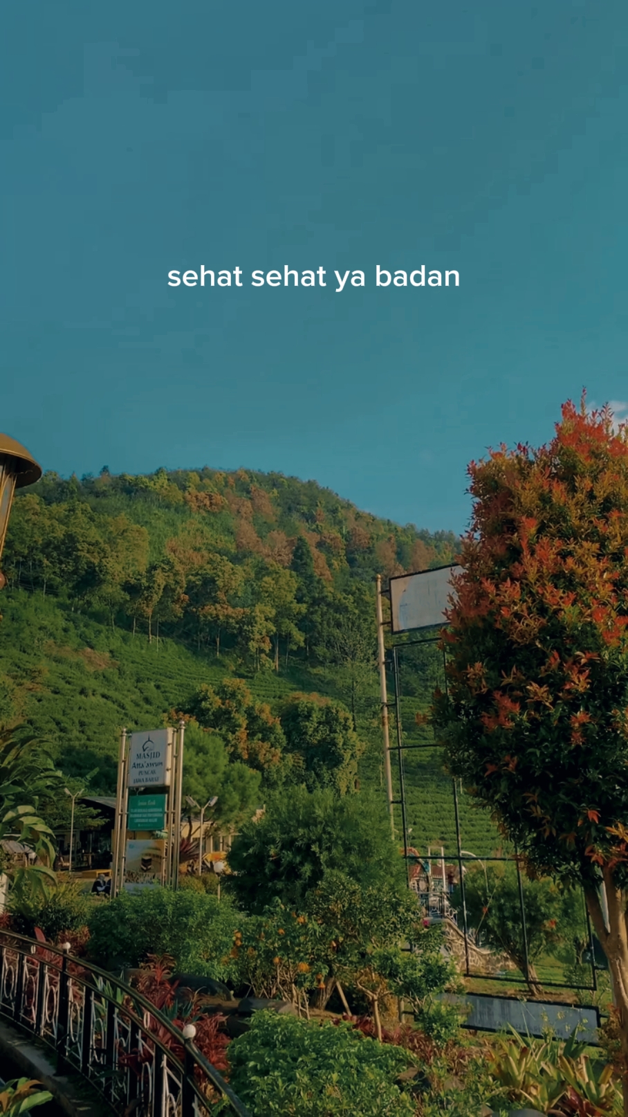 sehat sehat ya badan