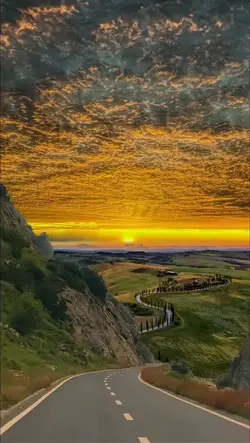 yeni şablon