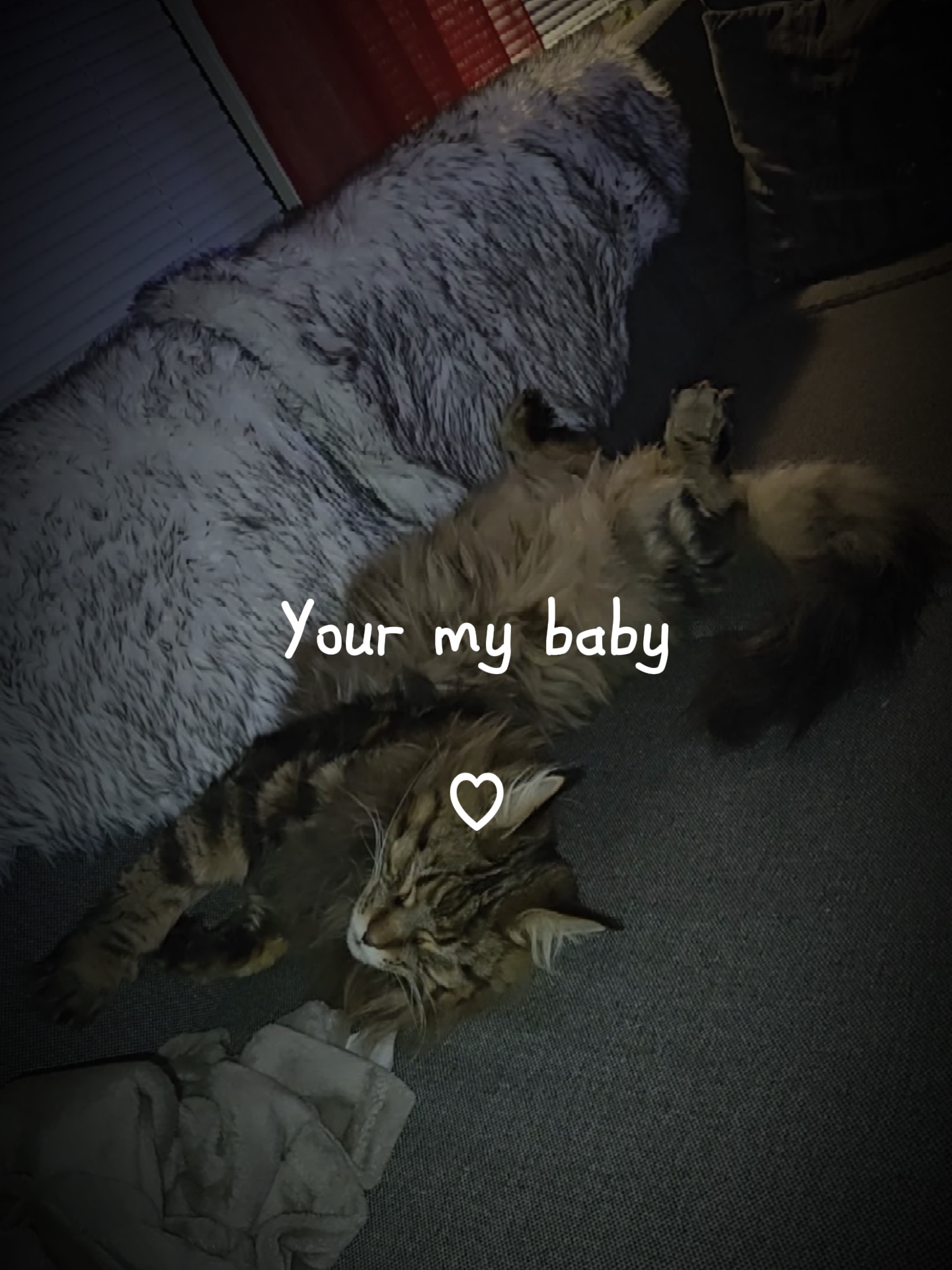 Mein Baby 