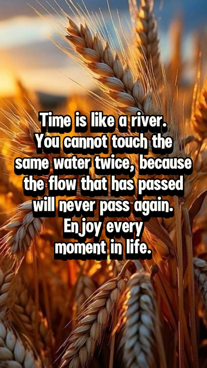 Life quotes 