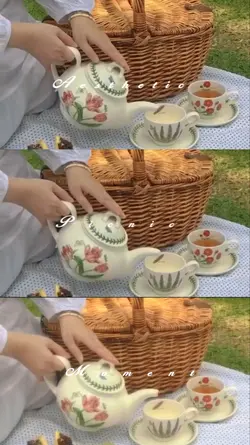 picnic moment
