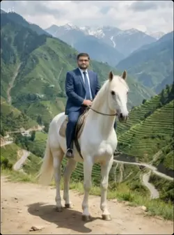 White horse 
