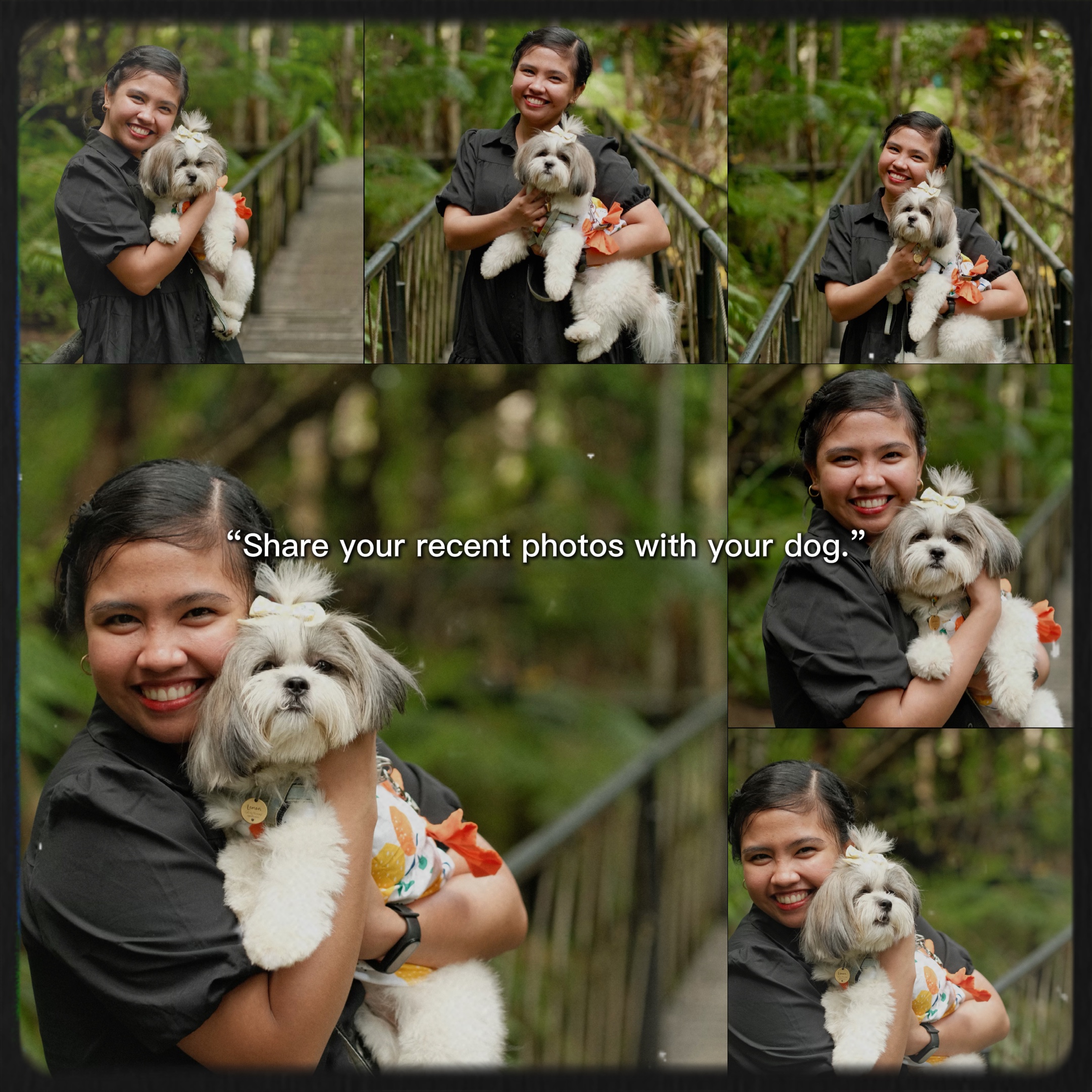 Photos with Your Dog