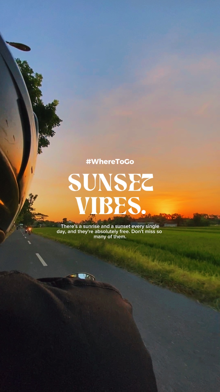 Sunset Vibes