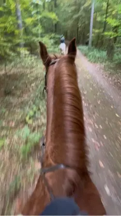 riding