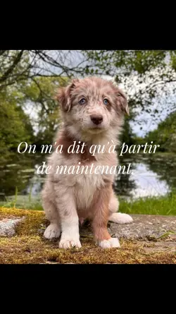 le temps passe