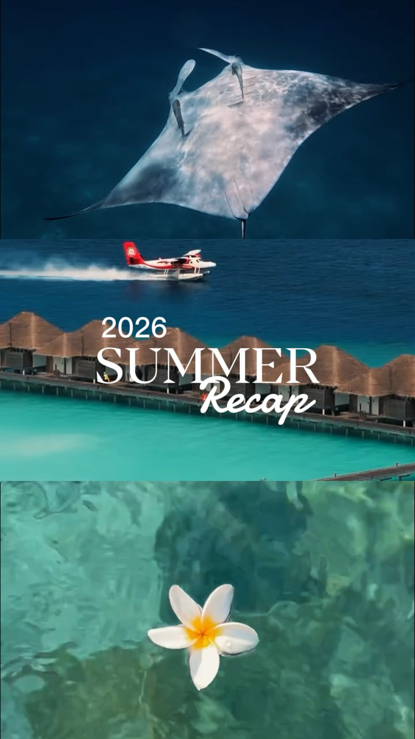 Récapitulatif de l'été 2026