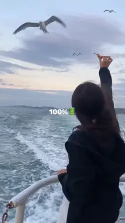 0% vs 100%