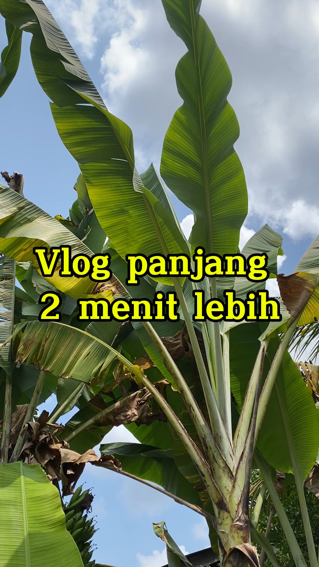 Vlog panjang