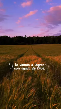 lo vamos a lograr