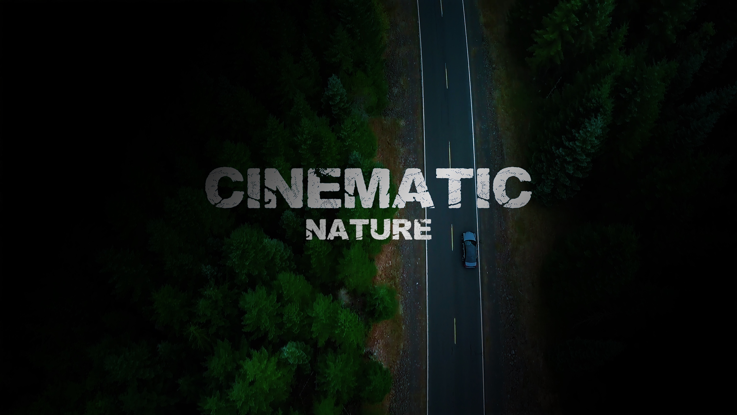 CINEMA NATURE