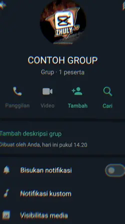 COLLAB BER 20