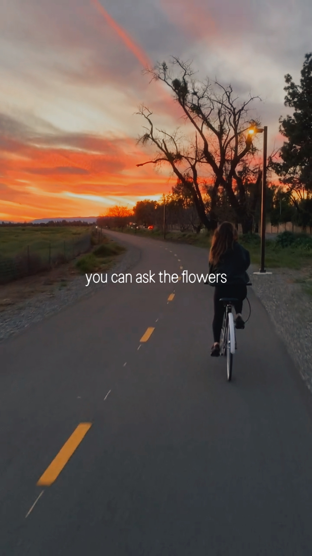 You can ask flowers 