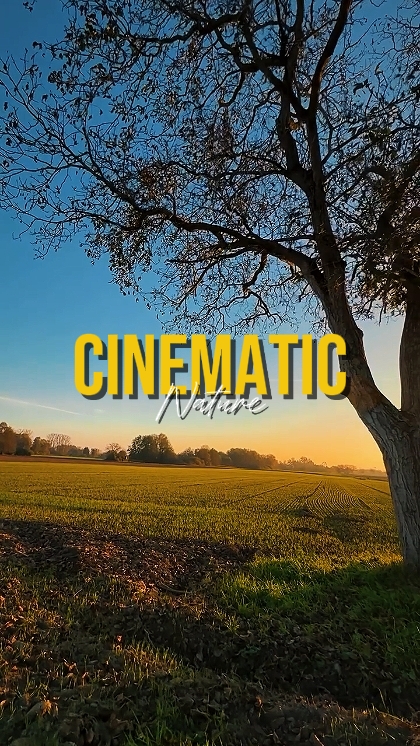 KINEMATISCHE NATUR