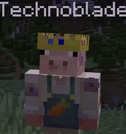 Technoblade