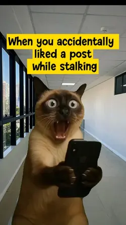 accidentally liked