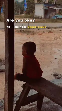 cenut cenut