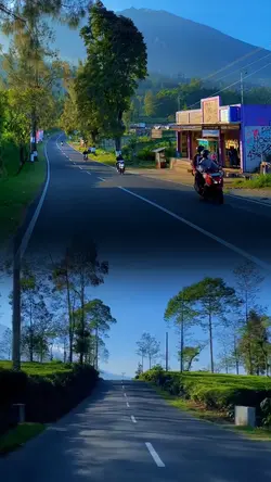 kolase asathetic