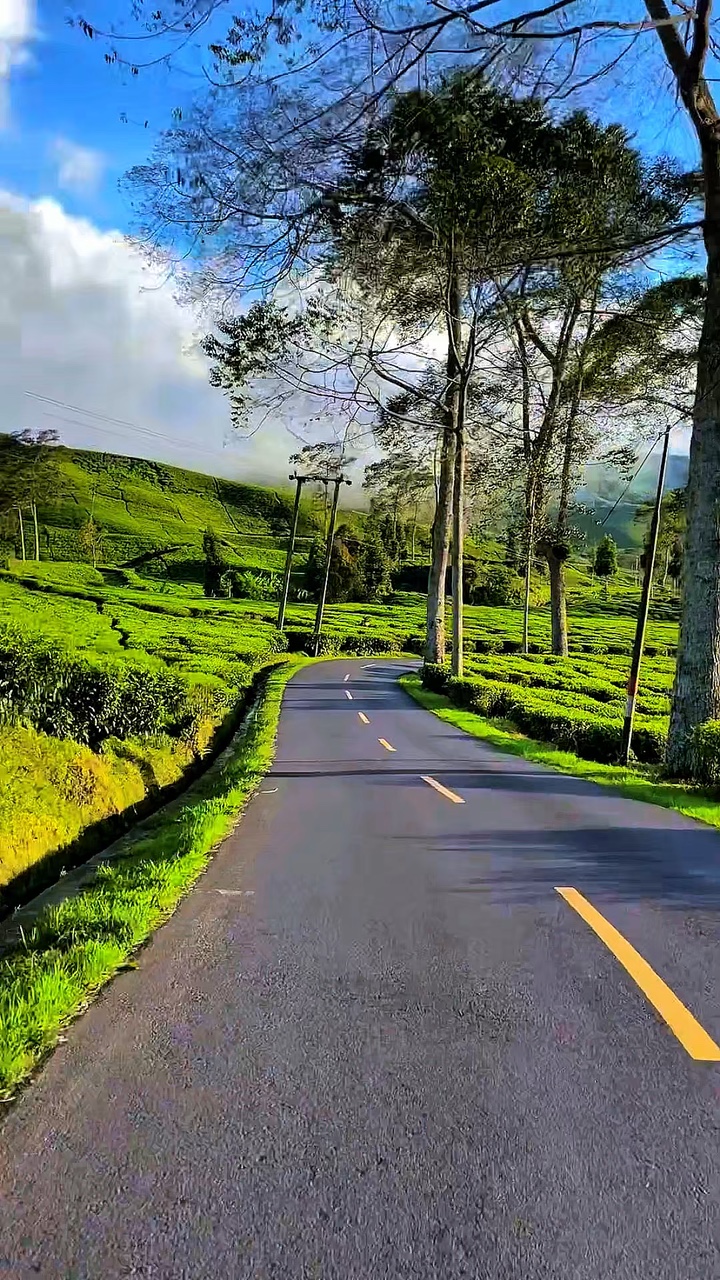 3 videos de viaje por carretera HD