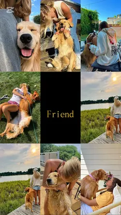 A jamais amis 