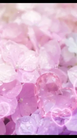 6月🟣紫陽花💐あなたの心に小さな幸せを