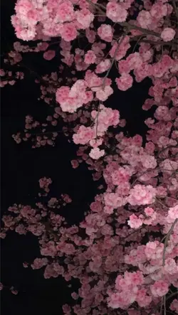 3d wallpaper