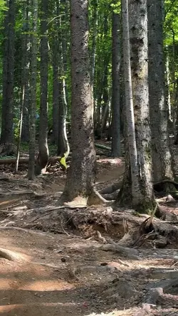 Bike trekking 🚲
