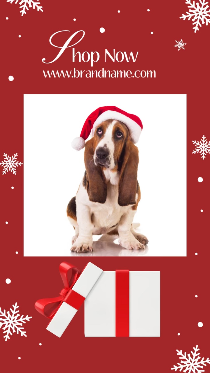 C2B Christmas Pet clothing red tiktok