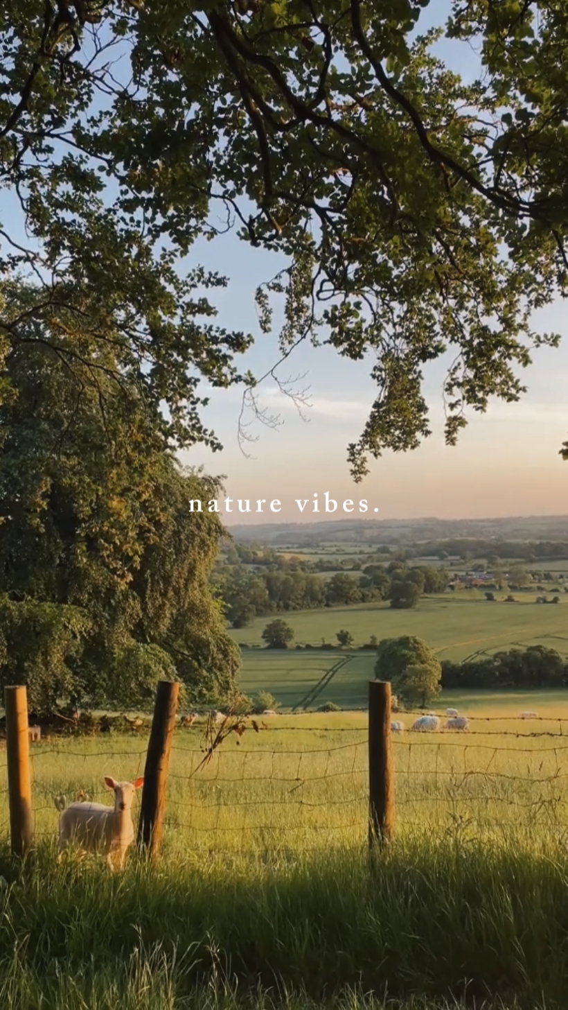 nature vibes 