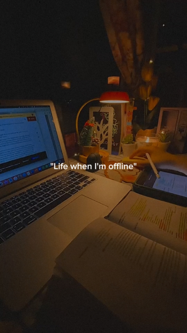 A Vida Quando Estou Offline
