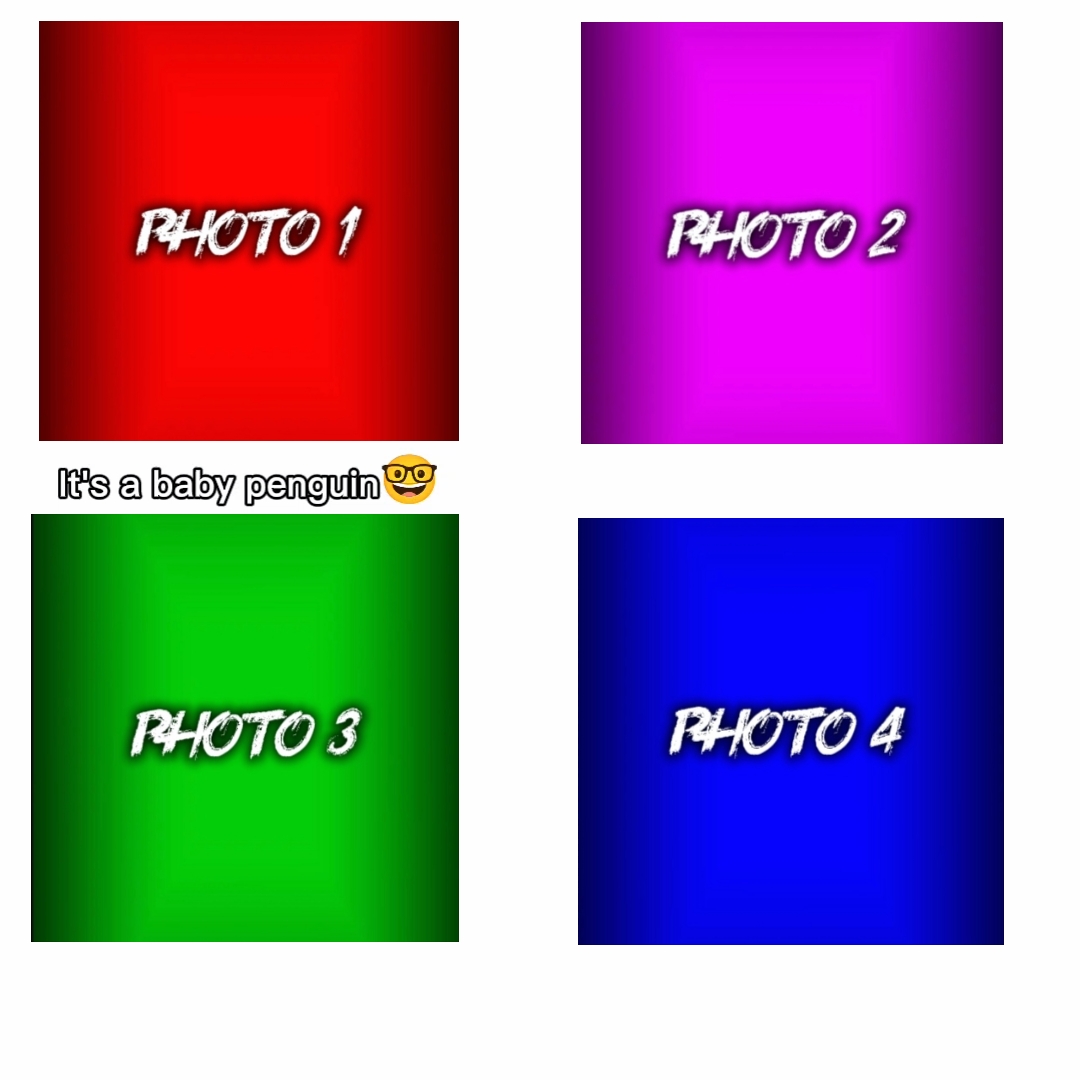 NUEVA PLANTILLA VIRAL