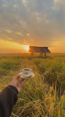 vibes sore hari