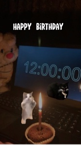 Feliz Aniversário 