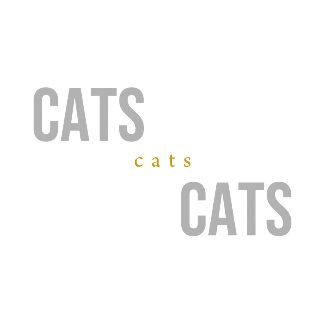 Tendance Top Modifier