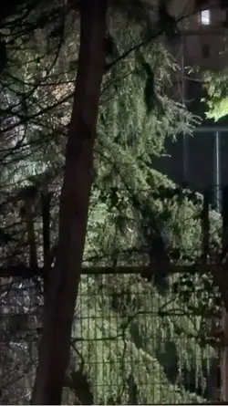 SAD ŞABLON 