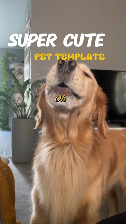 Cute pet template🥹