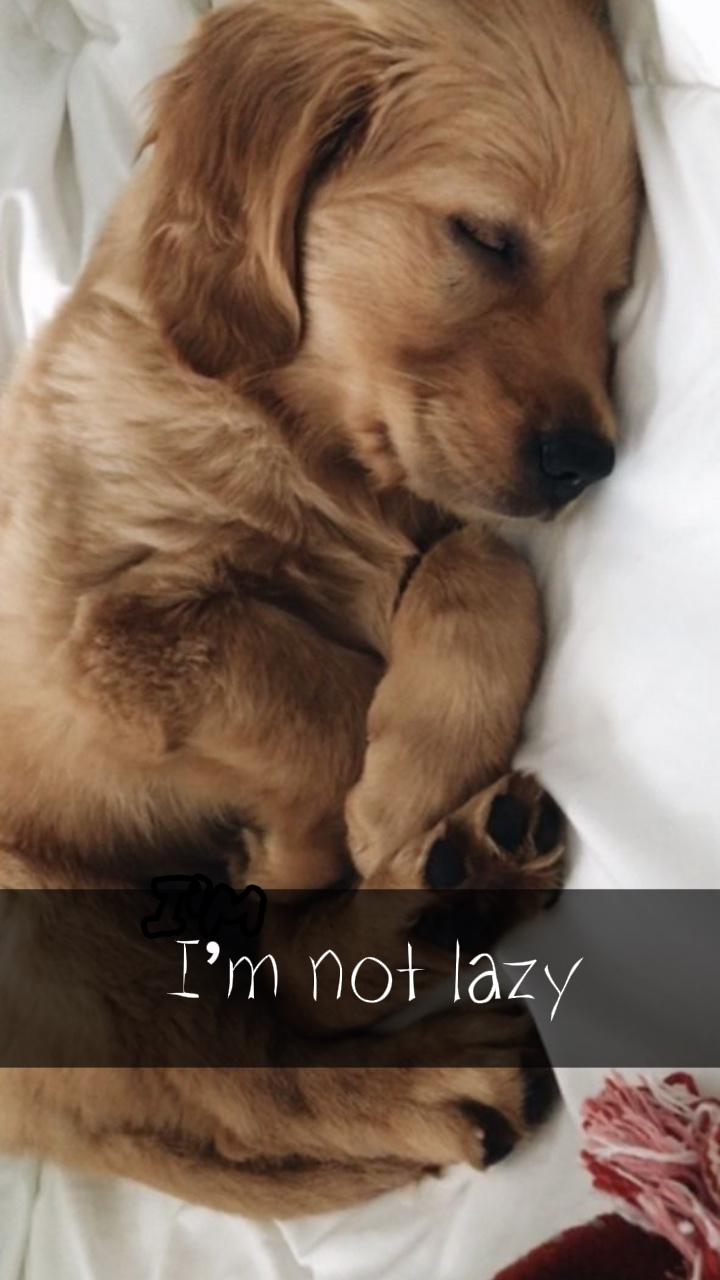 I’m Not Lazy ✨