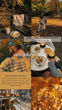autumn recap