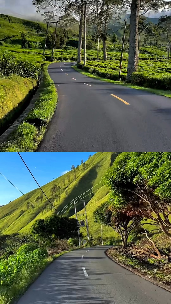2 collages vidéo 