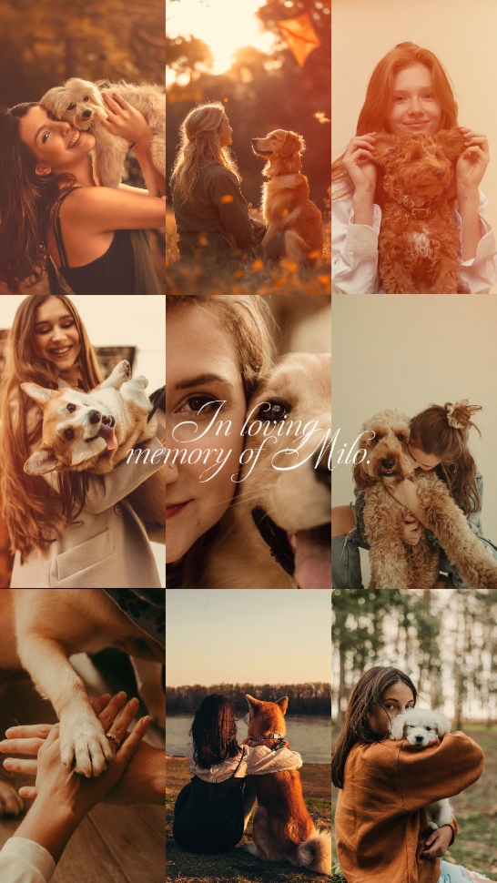 Memory of Milo