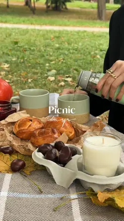picnic days vlog