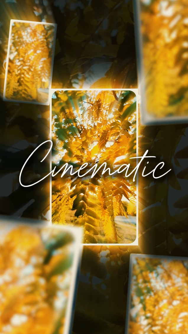 cinematic 5 clips 