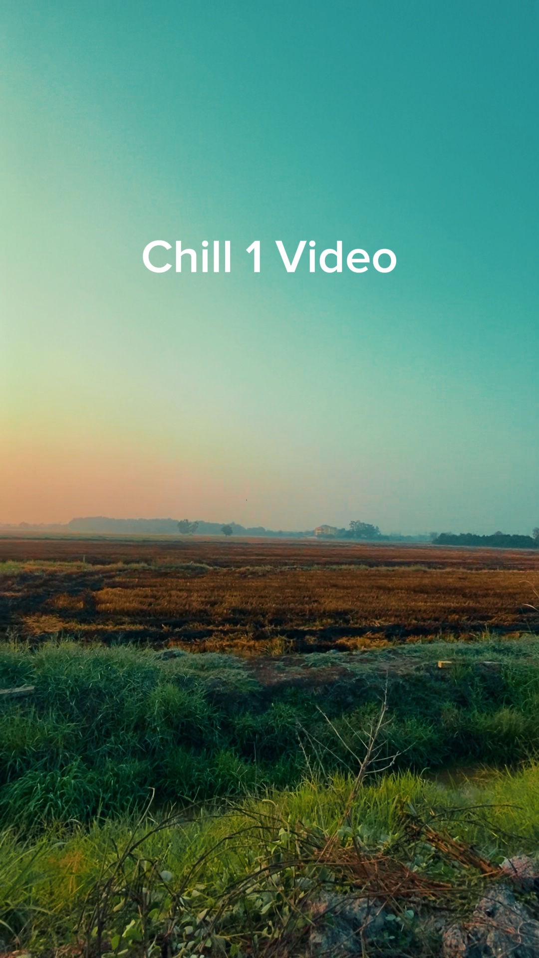 Sakin ol 1 video