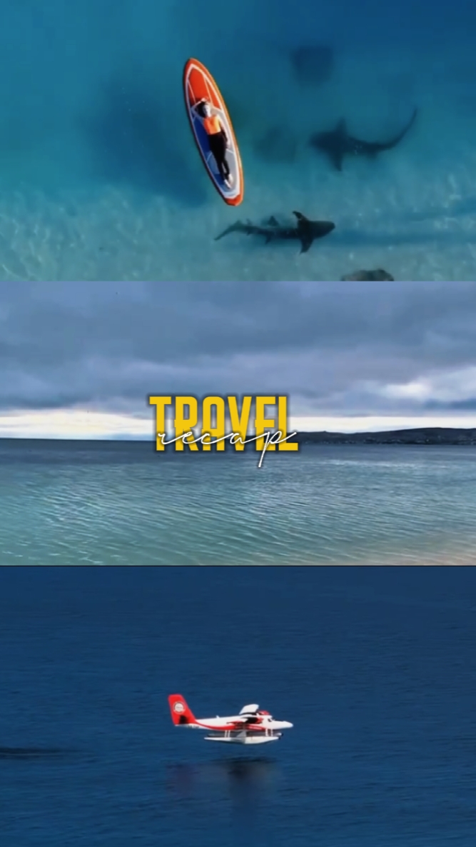 travel recap 