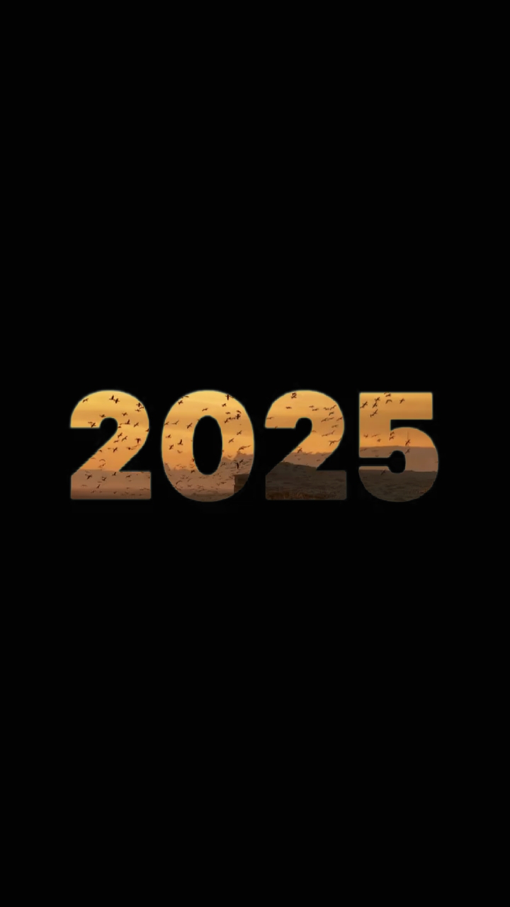 2025 Recap 